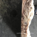 High Quality Frozen Illex Squid Head Squid Tentacle